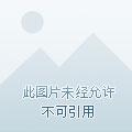 月神是什么
