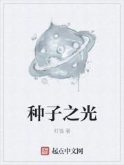 种子之光 种子之光