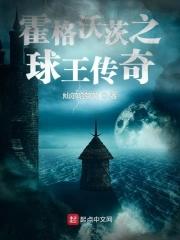 霍格沃茨之球王传奇 霍格沃茨之球王传奇
