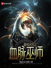 霍格沃茨之血脉巫师 霍格沃茨之血脉巫师